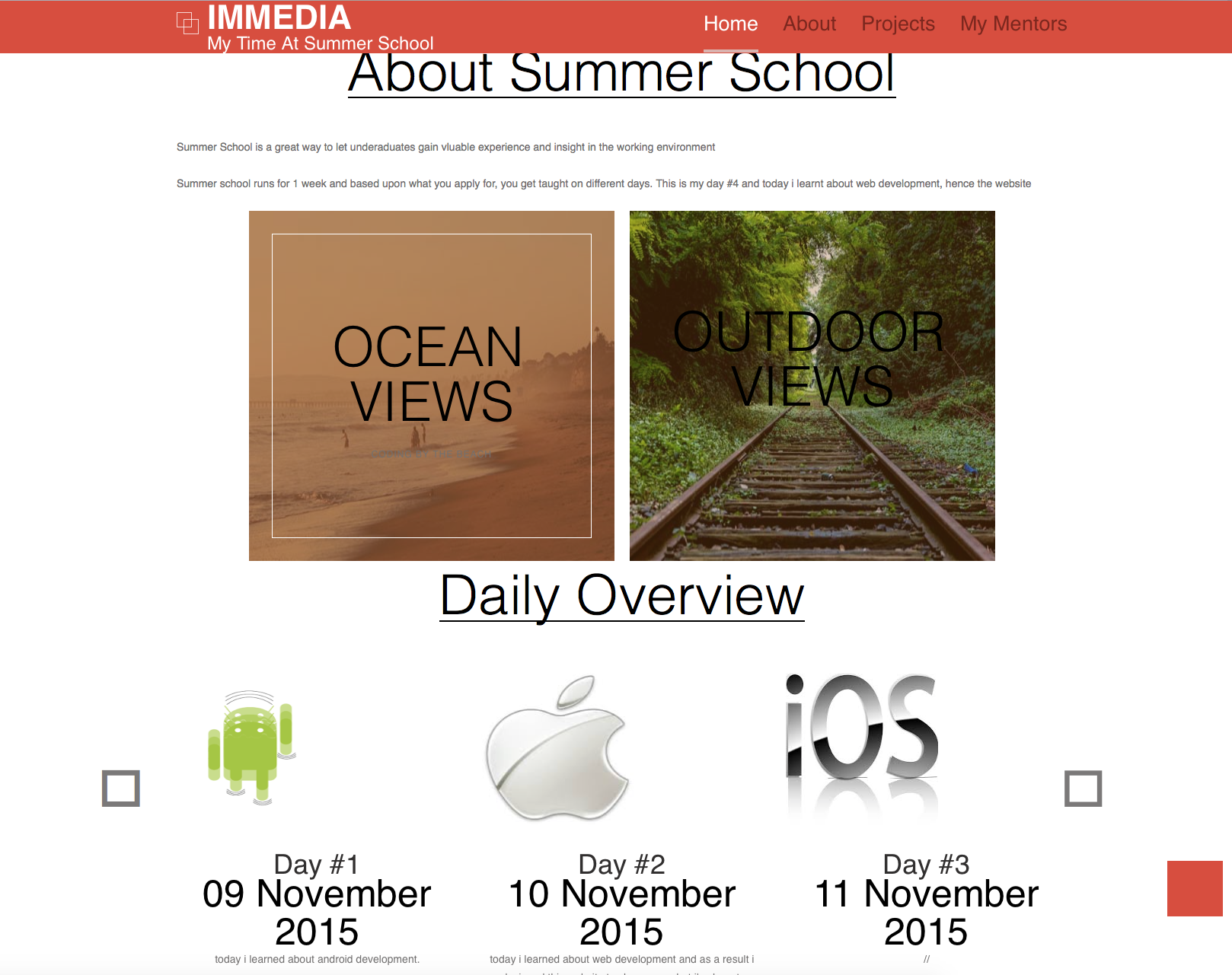 Dominique Summer School website